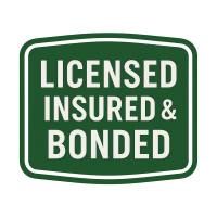 ChatGPT Image Aug 19, 2025, 05_53_30 PM